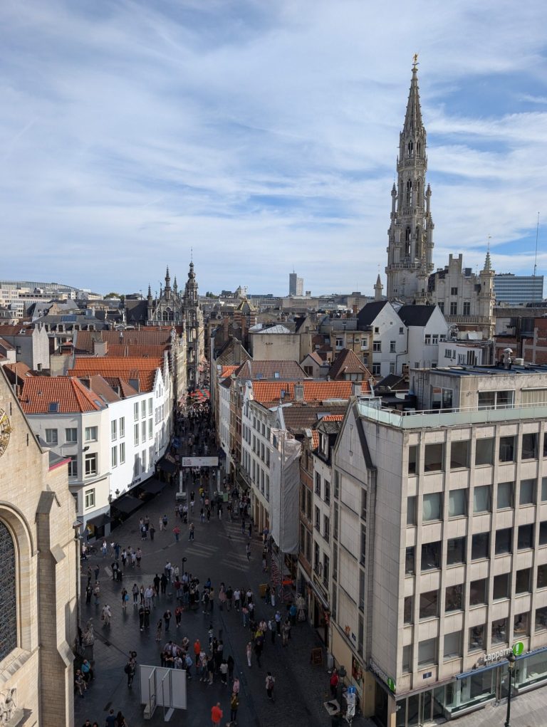 Aerial view of Brussels with rooftops and a tall church spire in the background.