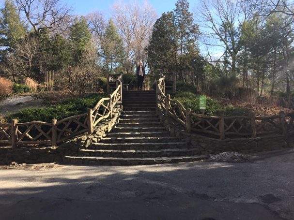 I&B's Founder posing at the top of some steps in Central Park, New York.