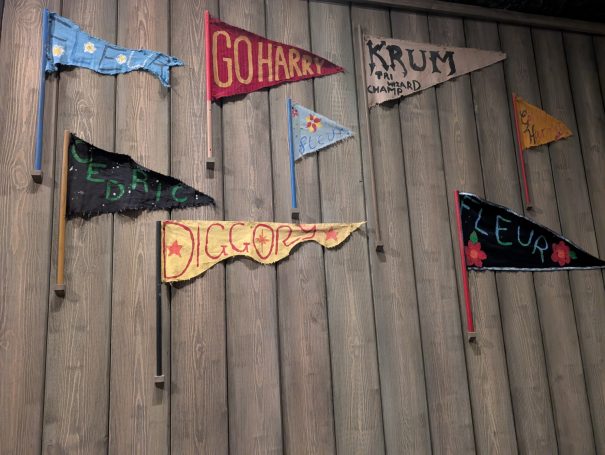 A collection of colourful, decorative pennants displayed on a wooden wall. Located at the Harry Potter Studio Tour, London.