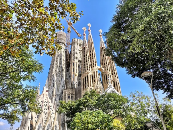 Tall, intricate spires of the Sagrada Família surrounded by lush green trees.