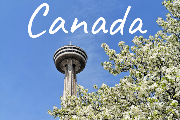 The Skylon Tower rises above blooming trees against a clear blue sky, located in Niagara Falls.
