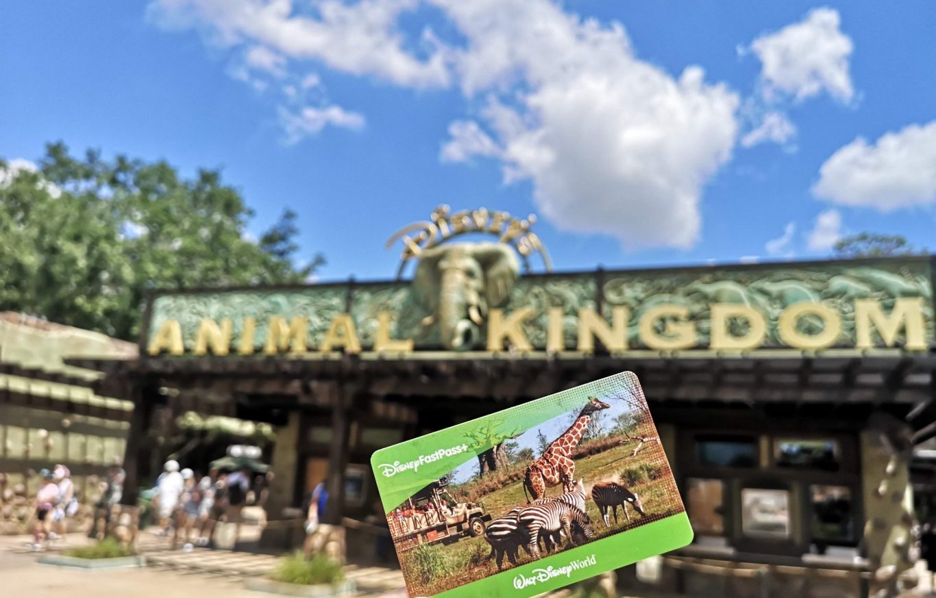 Entrance to Animal Kingdom theme park with a guest pass in foreground.