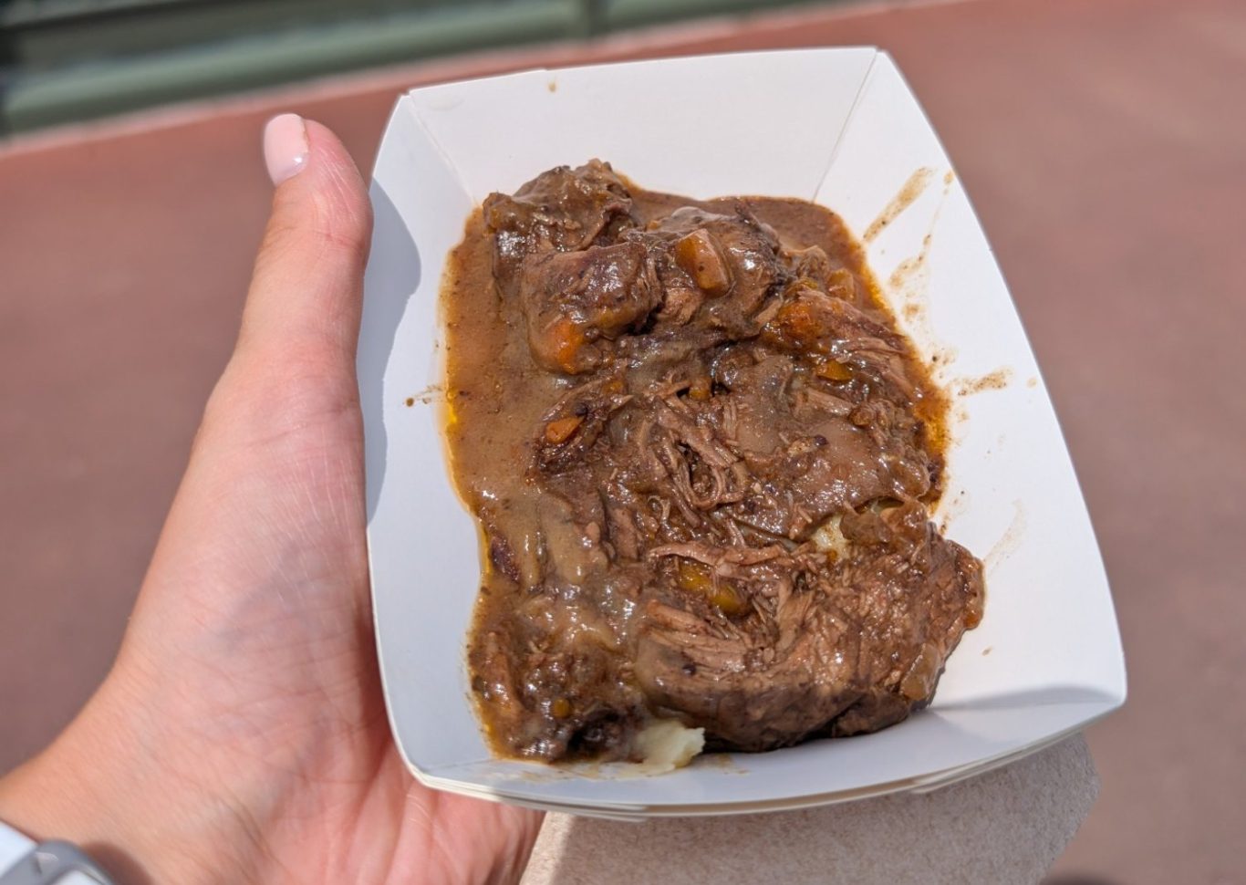A hand holding a portion of meat stew with gravy and vegetables in a white container.