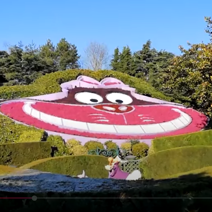 Large flowerbed shaped like the Cheshire Cat, smiling brightly against a blue sky.