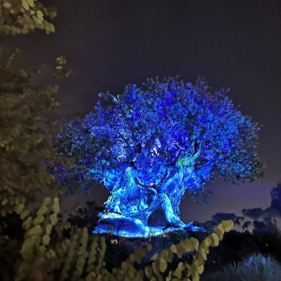 A illuminated tree with vibrant blue lighting against a night sky.