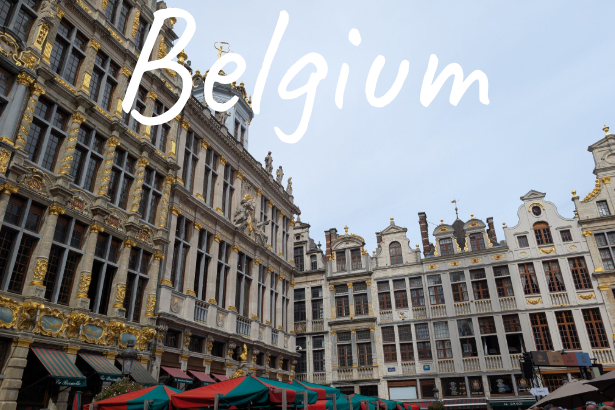 A cityscape of Belgium featuring rooftops and modern architecture under a blue sky.