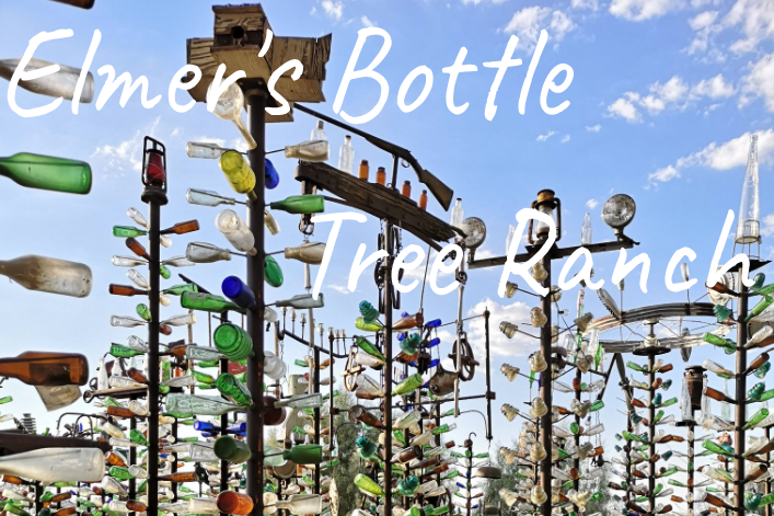 Colourful glass bottles arranged on poles, to look like trees at Elmer’s Bottle Tree Ranch.