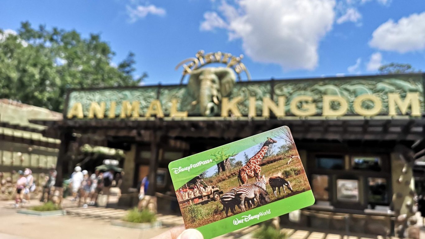 Entrance to Animal Kingdom with a hand holding a park ticket featuring animals.