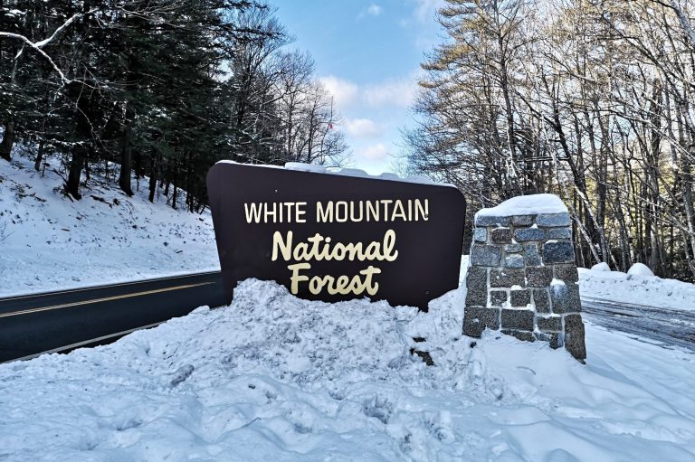 Sign for White Mountain National Forest with snow-covered surroundings in New Hampshire, USA.