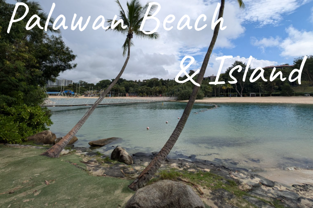 View of Palawan Beach with palm trees and calm waters, under a partly cloudy sky.