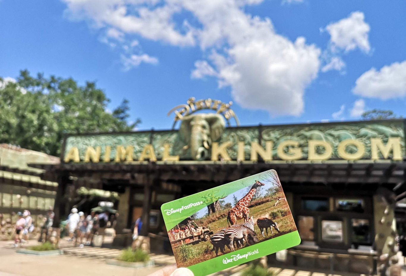 Entrance to Animal Kingdom with a hand holding a ticket in front.
