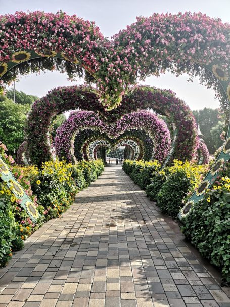 A picturesque pathway lined with heart-shaped floral arches and vibrant blooms, located in Dubai Miracle Garden
