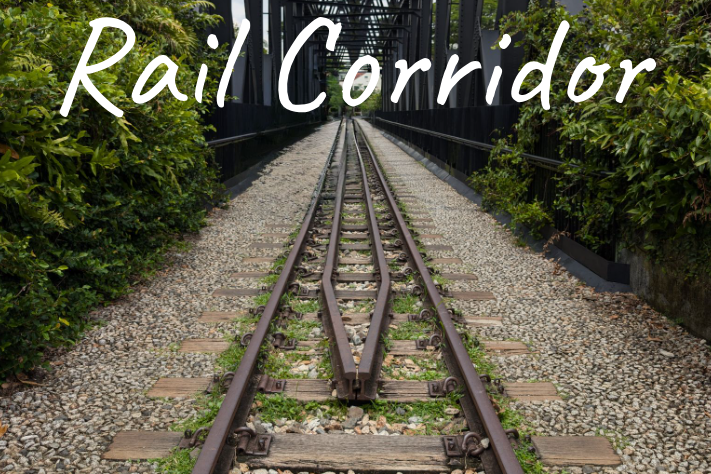 Singapore's Rail corridor with railway tracks surrounded by greenery and gravel.