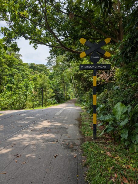 View of railway tracks with a yellow train and lush greenery beside the line, located on Singapore's Rail Corridor.