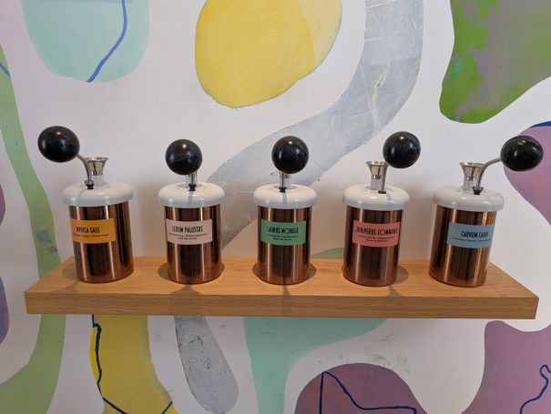 Five vintage laboratory jars on a wooden shelf, each with a coloured label.
