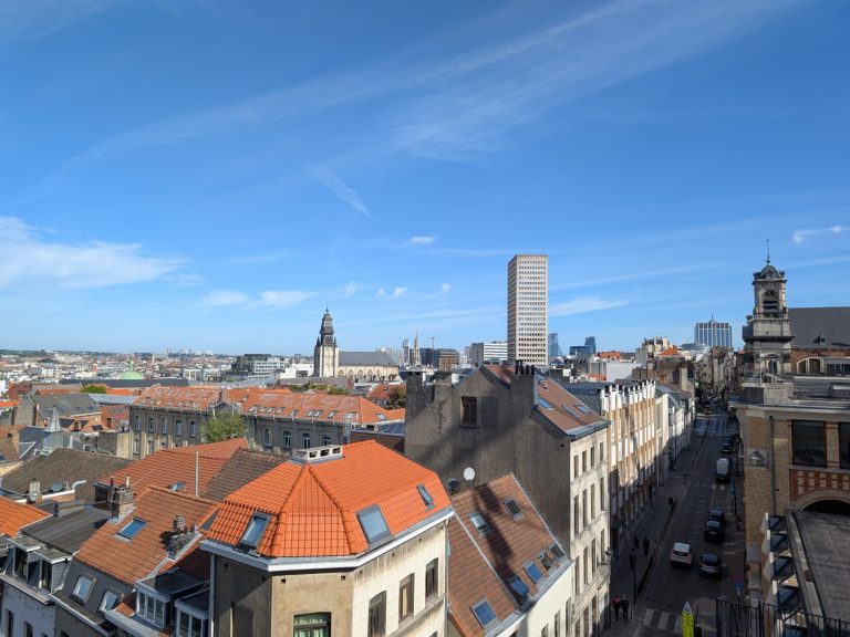 Panoramic view of a city skyline with rooftops, modern and historic buildings under a blue sky.