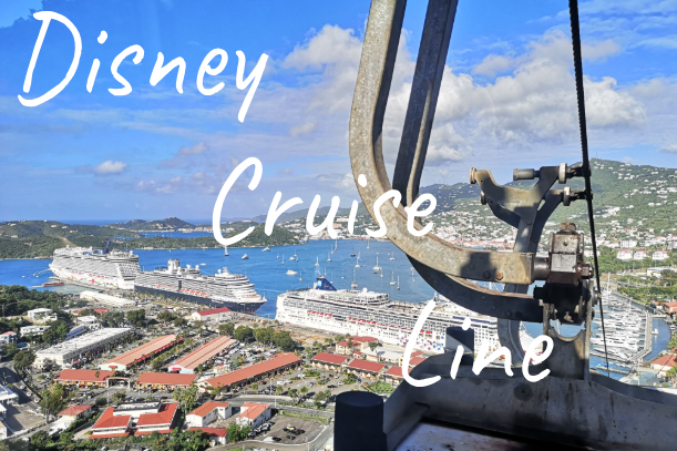 View of the cruise ships in a scenic harbour with a mountainous background.
