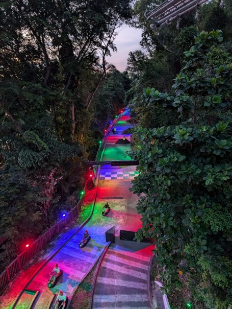 A vibrant illuminated slide pathway winding through a lush forest.