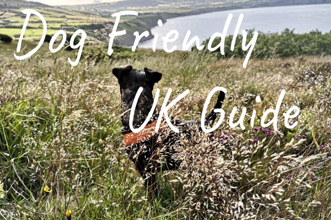 A black dog named Cole standing in a grassy field with hills and the sea in the background. Overlooking Robin Hood's Bay in North Yorkshire